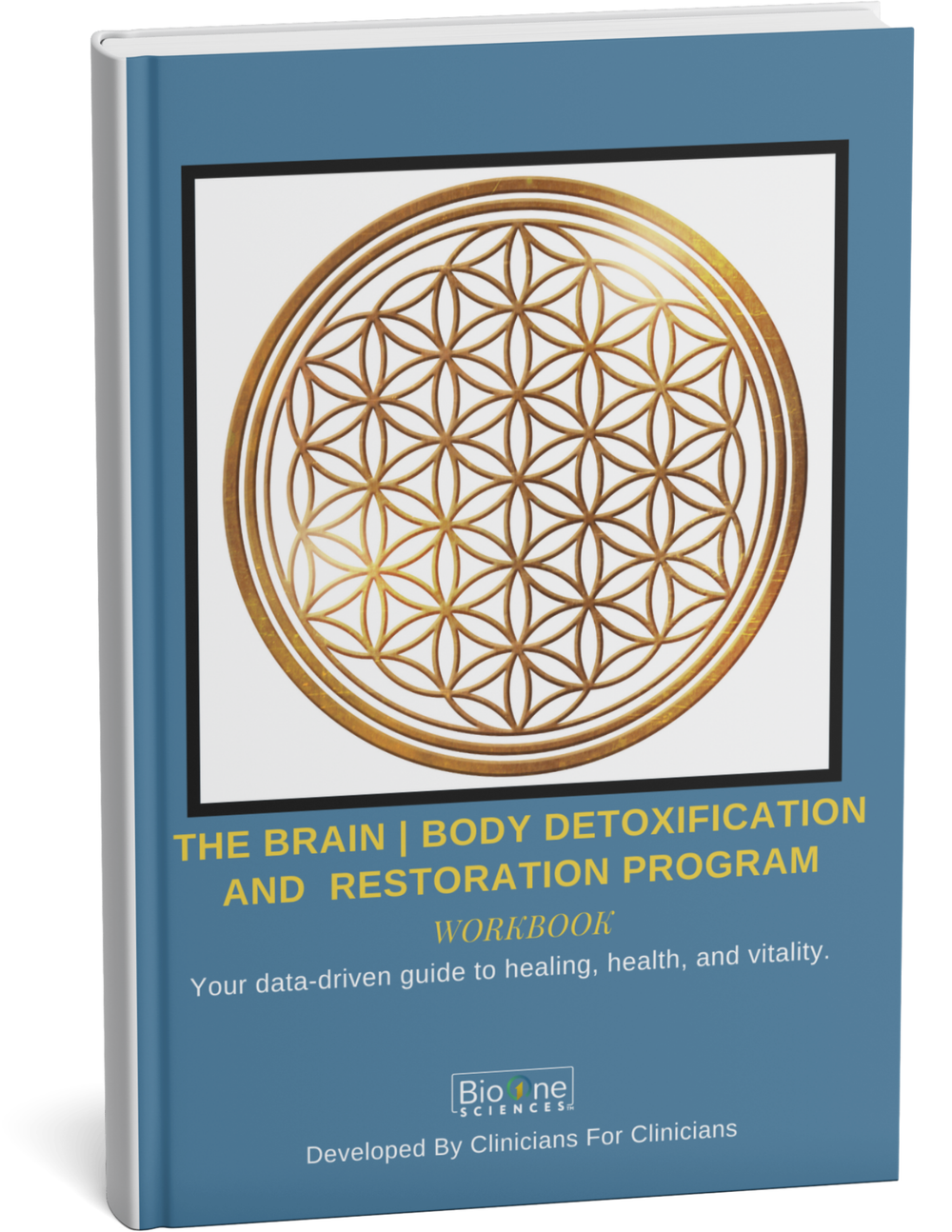 Brain and Body Detoxification and Restoration Program Workbook