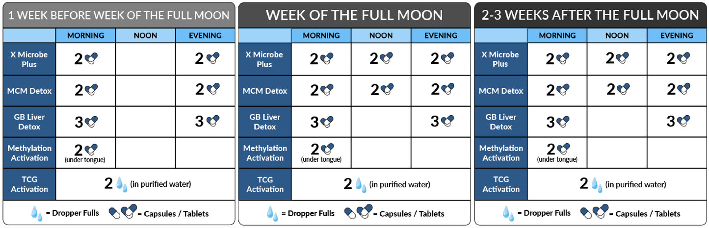 
                  
                    Full Moon Parasite Detox: BEGINNER
                  
                