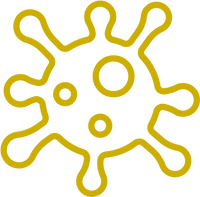 Immune Support
